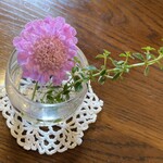 カフェアンジェ - 