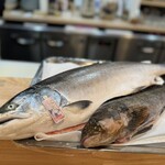 菊園町 八十八 - 