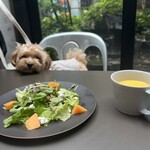 エミリー・フローゲ - 