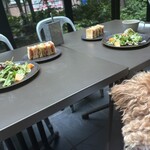 エミリー・フローゲ - 