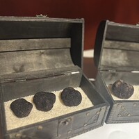 マルゴット エ バッチャーレ - 