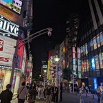 トプカ - 駅から少し離れています。