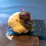 プレゼンテ スギ - 2025.6 杉寿司 TYPE-R（あわびの肝リゾットと活けハマグリのフリットを海苔で巻いて）