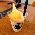 Michi no Eki Hota Shogakko