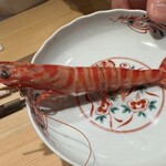 神田錦町 鮨たか晴 - Food Presentation 車海老茹で上がり