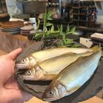 くずし割烹 小町 - 