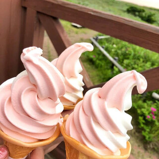 はまなすの丘公園ヴィジターセンター_1