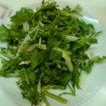 305878475 - 香菜と青唐辛子のサラダ