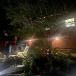 レストラン ナズ - 