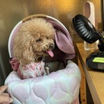 大衆食堂みゆき - 扇風機と冷風機持参で