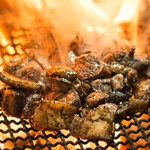 蘇麻 - お酒のお供に炭火焼き！！歯応えある地鶏or柔らかジューシーな鶏もも。どちらもオススメです！