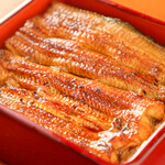 つきじ 宮川本廛 - 料理写真:鰻重かめ（寄り）