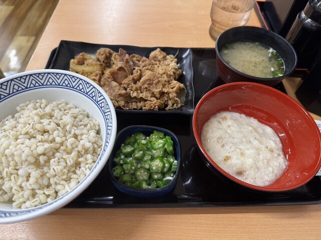 Yoshinoya Shin Oohashi Ten Dori Hatchobori Ten