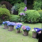 鎌倉すき焼きしゃぶしゃぶレストラン Sasho - 