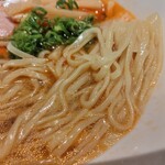 麺家 たけ田 - 麺の感じ