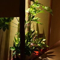 北新地しゃぶしゃぶすき焼き きらく - 