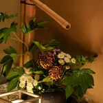 北新地しゃぶしゃぶすき焼き きらく - 