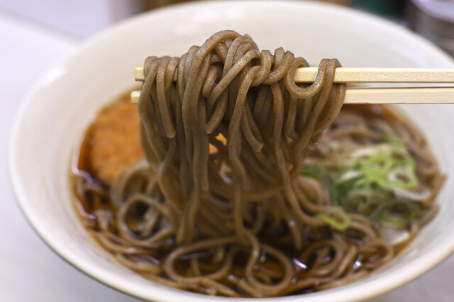 Tokiwa Ken Yokosuka Sen Home Ten photo 3