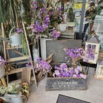 フラワーカフェ BLOOMY'S - 