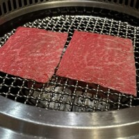日本焼肉はせ川 表参道店 - 