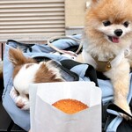 Karuizawa Kitchen Ro-Tari-Ten