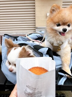 軽井沢キッチン - 