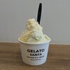 ジェラートサンタ 道の駅とよはし店