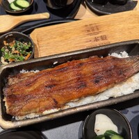 うなぎ四代目菊川 ヒルトンプラザウエスト大阪店 - 一本うな重