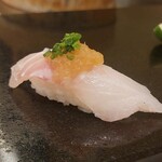 菊水鮓 - アコウ(キジハタ)