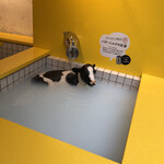 ゲロ ゲロ バター スタンド - 