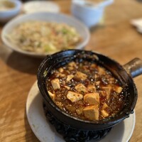 雪梅花 菜根譚 - 