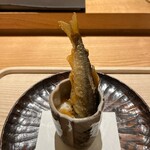 虎白 - 鮎ドボン