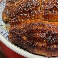 鰻う おか冨士 - 上うなぎ丼(5,640円)