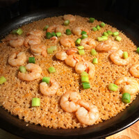 Potoro - 