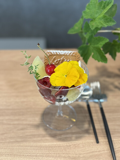 Cobaco Coffee　コーヒー豆 コーヒー豆】タンザニア イユラ ウォッシュド（中深煎り