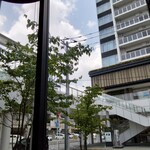 チャイニーズファン - 