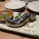 炭焼居酒場 IGOR COSY 渋谷本店 - 