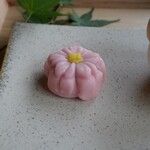 MAGOJii cafe & gallery - 