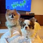 レジーナリゾート旧軽井沢 - 