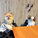 レジーナリゾート旧軽井沢 - 