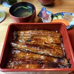 うなぎ亭 友栄 - 青ウナギ　大きいです