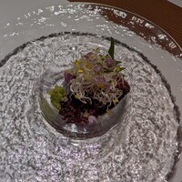 難波 鮨 よこ田 - 