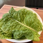 柳町焼肉カンテラ - サンチュに於いても葉が新鮮！