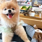 Odamaki Karuizawa Hanare - 