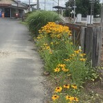 喫茶　来夢来人 - 