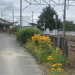 喫茶　来夢来人 - 