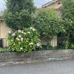 喫茶　来夢来人 - 