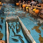 ジャンボ釣船 つり吉 難波店 - 