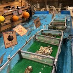 ジャンボ釣船 つり吉 難波店 - 