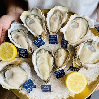 本日の厳選生牡蠣